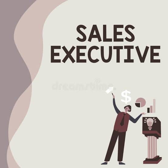 Sales executive placement
